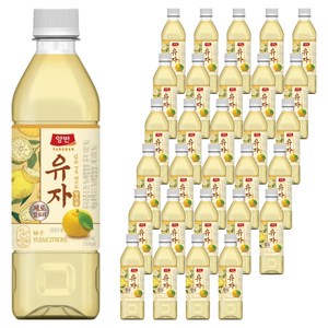 양반 유자 제로 pet, 48개, 500ml