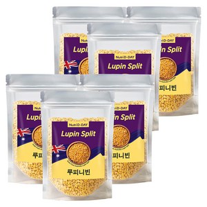 뉴트리디데이 루피니빈, 300g, 6개