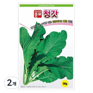 아시아종묘 씨앗 청갓 30g, 2개
