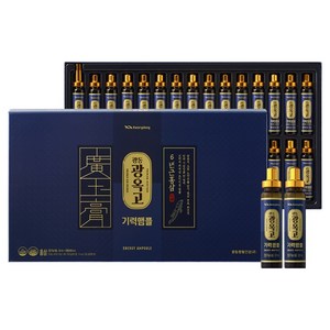 광동 광옥고 기력앰플 30병, 1개, 600ml