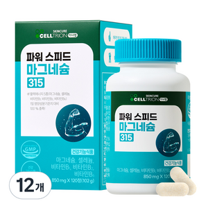 이너랩 파워 스피드 마그네슘 315, 120정, 12개