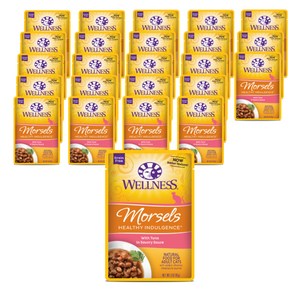 웰니스 어덜트 고양이 헬시 인덜전스 머셀 습식사료 파우치, 24개, 85g, 참치