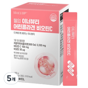 웰업 이너뷰티 어린콜라겐 비오틴C, 165g, 5개