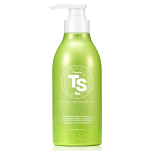 TS 프리미엄 헤어트리트먼트, 500g, 1개