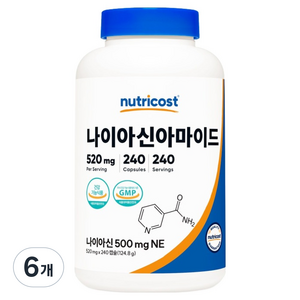 뉴트리코스트 나이아신아마이드 124.8g, 6개, 240정