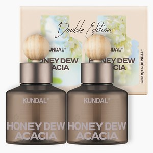 쿤달 퍼퓸 차량용 방향제 75ml 2p + 우드볼 스틱 2p 세트, 허니 듀 아카시아, 1세트