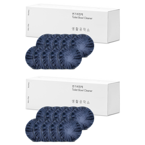 생활공작소 변기세정제 10p, 400g, 2개