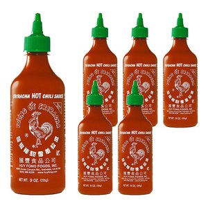허이펑 스리라차 핫 칠리 시즈닝, 255g, 6개
