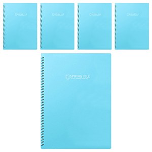 모닝글로리 K컬러 스프링 클리어화일 40P, 민트, 5개