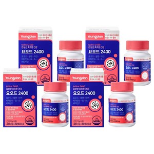 영플랜 요오드 2400 갑상선 호르몬 건강, 60정, 4개