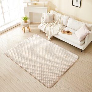 더안 EMF 극세사 탄소매트 전기요 JJ-3200, 대(140 x 180 cm)