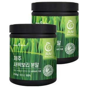 힐링스토리 제주 새싹보리 분말, 2개, 250g