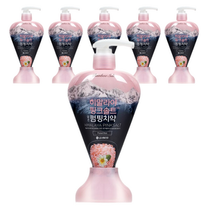 히말라야핑크솔트 담은 펌핑치약 플로럴, 285g, 6개