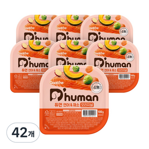 듀먼 전연령용 강아지 오리지널 화식사료, 연어+채소, 100g, 42개