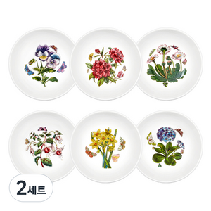 포트메리온 보타닉가든 에칭 스테킹 뉴볼 6종 세트 지름 9.5cm x H 5cm, 혼합색상, 2세트