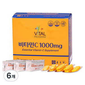 바이탈프로그램 비타민C 1000mg, 200정, 6개