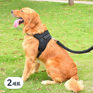 퍼플펫 중대형견 하네스, 블랙, 2세트