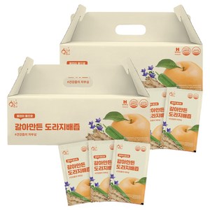 황금이네 국내산 갈아만든 도라지배즙, 100ml, 60개