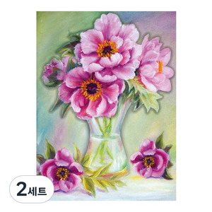 데이소이 미스테리 판타지 DIY 보석십자수 세트 20 x 30 cm, 13 스프링, 2세트