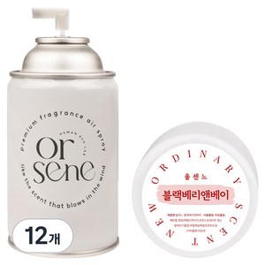 올센느 프리미엄 니치향수 방향제 자동분사기 리필 캔 블랙베리앤베이, 250ml, 12개, 블랙베리앤 베이