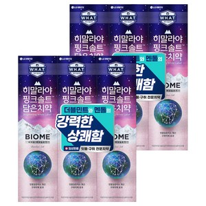 히말라야핑크솔트 바이옴 잇몸 구취전문 치약, 160g, 6개