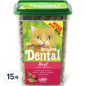 캣템 고양이 스피루리나 덴탈 이빨과자 대용량 메가박스, 비프, 500g, 15개