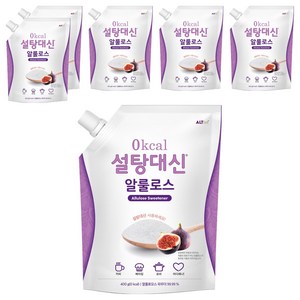 설탕대신 알룰로스, 400g, 6개