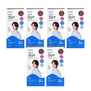씨드비 물염색 새치 염모제 30g, 와인브라운, 6개