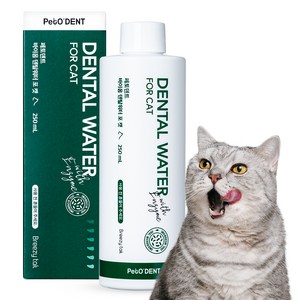 페토덴트 바이옴 덴탈워터 포 캣 구강청결제, 250ml, 1개