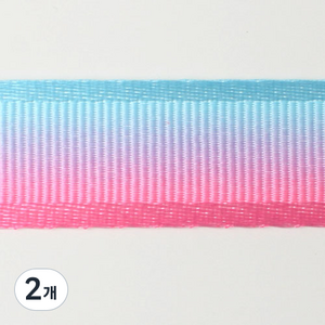 패션포인트 양변사골직 투톤전사 리본 GEL-PR 50야드 15mm, NO 6, 2개