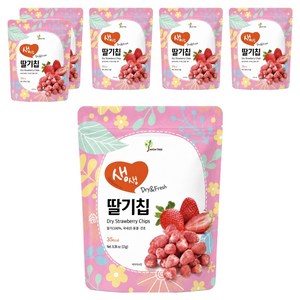 자연트리 동결건조 국산 딸기칩, 11g, 6개