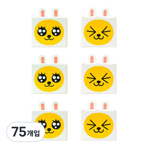 카카오프렌즈 DIY 기프트 박스 2p, 무지, 75개입