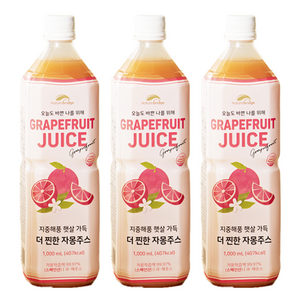 네이쳐브릿지 지중해풍 햇살 가득 자몽주스, 3개, 1L