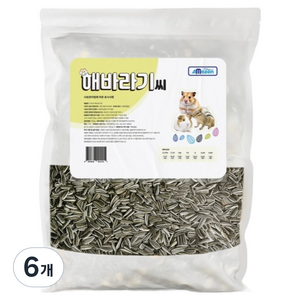 아마존 해바라기씨 영양사료, 900g, 6개