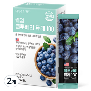 웰업 로엘 블루베리 퓨레 100 14p, 280g, 2개