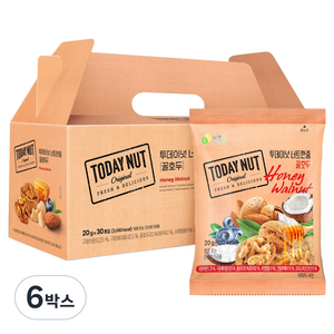 투데이넛 너트한줌 꿀호두 견과 선물 세트 600g, 6박스