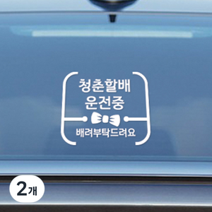 초보운전스티커 아기가타고있어요 안전 One size, 05 청춘할배01, 2개