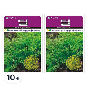 아람종묘 허브 딜 씨앗, 10개