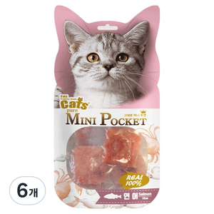 더캣츠 고양이 그대로미니포켓 육포 간식, 연어, 40g, 6개