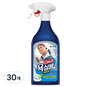 홈스타 욕실청소용 세정제, 500ml, 30개