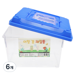 아가플러스 멀티 빅 곤충 채집통 블루, 6개