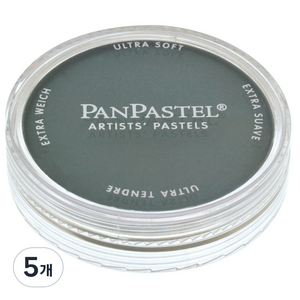 팬파스텔 TURQUOISE EXTRA DARK 580.1 9ml, 1색, 5개