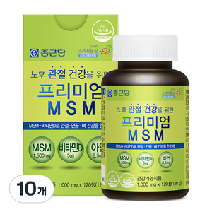 종근당 프리미엄 MSM 120g, 120정, 10개