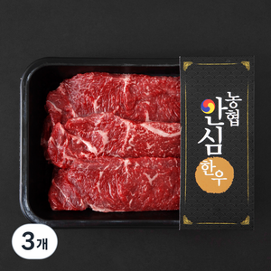 농협안심한우 한우 채끝 1등급 구이용 (냉장), 600g, 3개