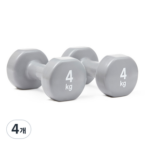 리복 트레이닝 덤벨 RAWT-18004, 4kg, 4개