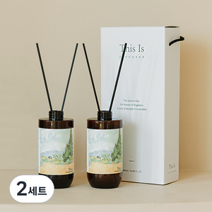 디스이즈명화 인테리어 대용량 디퓨저 2p 세트, 플라워하우스, 500ml, 2세트