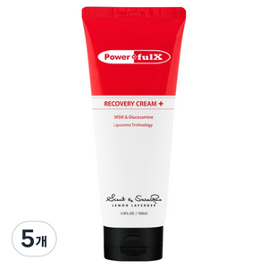 파워풀엑스 리커버리 크림 플러스, 100ml, 5개