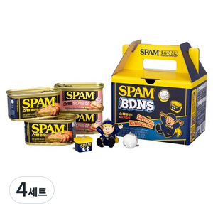 스팸 BDNS 클래식 200g x 2p + 닭가슴살 200g x 2p + 키링 세트, 4세트