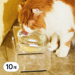 우다다맨숀 고양이 아크릴 식기 1구, 클리어, 10개