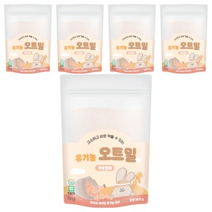 퍼기 유아용 유기농 오트밀 이유식 가루입자, 300g, 5개